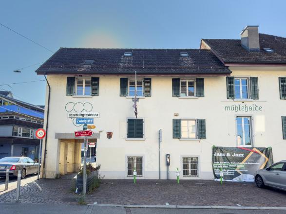 Präsenz markiert: Das Logo auf der Fahne des Nistplatz an der Mühlehalde.